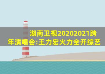 湖南卫视20202021跨年演唱会:王力宏《火力全开》综艺