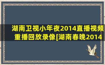 湖南卫视小年夜2014直播视频重播回放录像[湖南春晚2014]