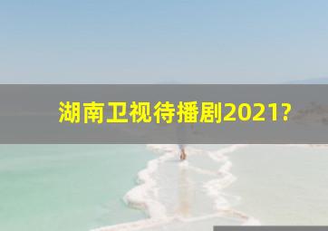 湖南卫视待播剧2021?