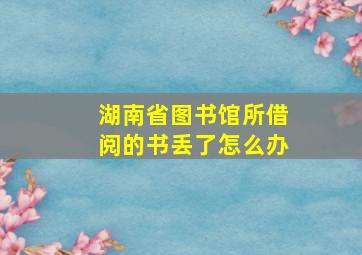 湖南省图书馆所借阅的书丢了怎么办