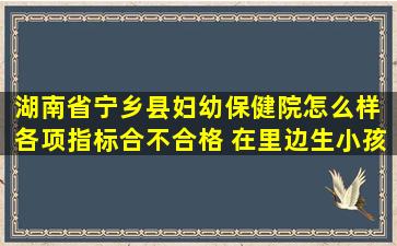 湖南省宁乡县妇幼保健院怎么样 各项指标合不合格 在里边生小孩安不...