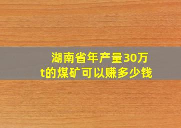 湖南省年产量30万t的煤矿可以赚多少钱(