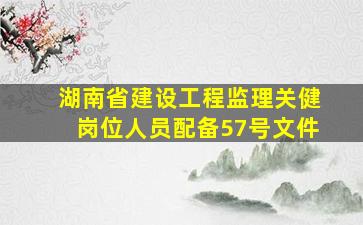 湖南省建设工程监理关健岗位人员配备57号文件