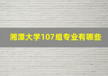 湘潭大学107组专业有哪些