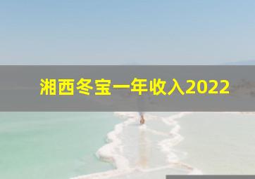 湘西冬宝一年收入2022