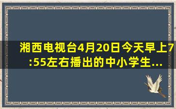 湘西电视台4月20日今天早上7:55左右播出的中小学生...