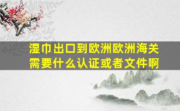 湿巾出口到欧洲,欧洲海关需要什么认证或者文件啊