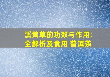 溪黄草的功效与作用:全解析及食用 普洱茶