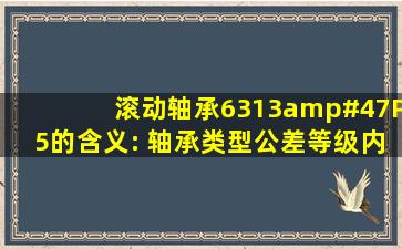 滚动轴承6313/P5的含义: 轴承类型,公差等级,内径尺寸,尺寸系列,游隙