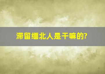 滞留缅北人是干嘛的?