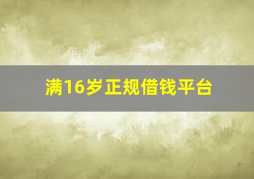 满16岁正规借钱平台