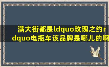 满大街都是“玫瑰之约”电瓶车,该品牌是哪儿的啊?