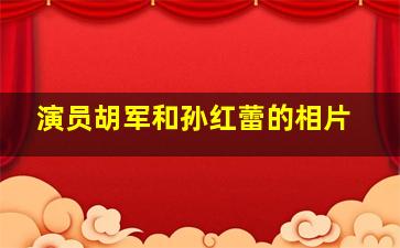 演员胡军和孙红蕾的相片