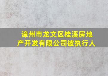 漳州市龙文区桂溪房地产开发有限公司被执行人