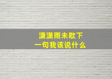 潇潇雨未歇下一句我该说什么