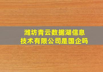 潍坊青云数据湖信息技术有限公司是国企吗