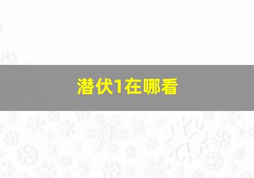 潜伏1在哪看