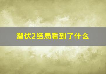 潜伏2结局看到了什么