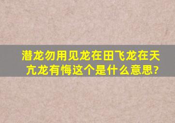 潜龙勿用见龙在田飞龙在天亢龙有悔这个是什么意思?