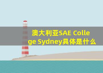 澳大利亚SAE College Sydney具体是什么。