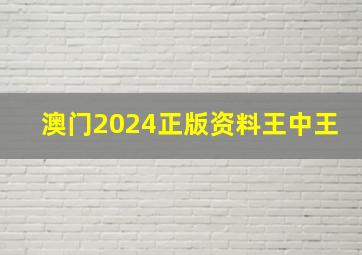 澳门2024正版资料王中王