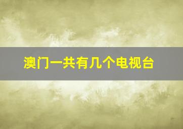 澳门一共有几个电视台(