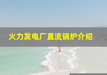 火力发电厂直流锅炉介绍 