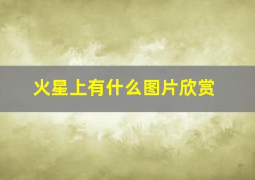 火星上有什么图片欣赏