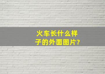 火车长什么样子的外面图片?