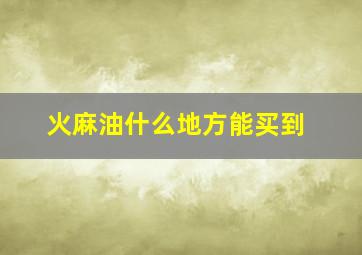 火麻油什么地方能买到