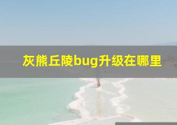 灰熊丘陵bug升级在哪里