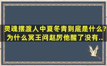 灵魂摆渡人中。夏冬青到底是什么?为什么冥王问赵厉他醒了没有。...