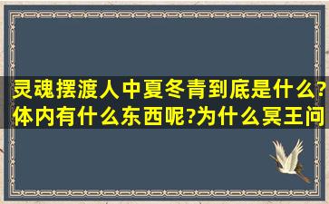 灵魂摆渡人中。夏冬青到底是什么?体内有什么东西呢?为什么冥王问赵...