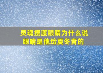 灵魂摆渡眼睛为什么说眼睛是他给夏冬青的 