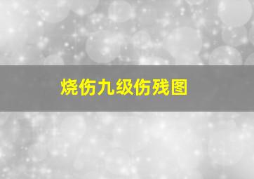 烧伤九级伤残图