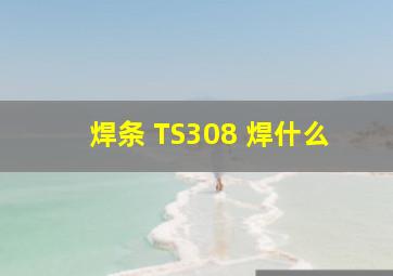 焊条 TS308 焊什么