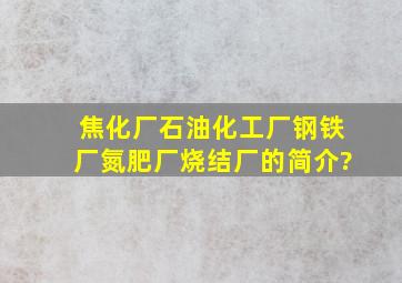 焦化厂、石油化工厂、钢铁厂、氮肥厂、烧结厂的简介?