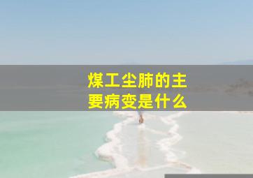 煤工尘肺的主要病变是什么