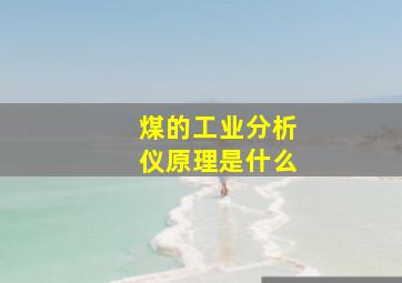 煤的工业分析仪原理是什么(