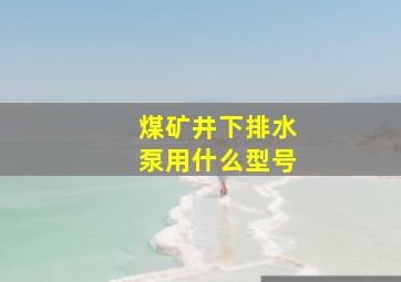 煤矿井下排水泵用什么型号(