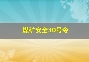 煤矿安全30号令(