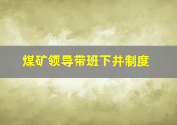 煤矿领导带班下井制度