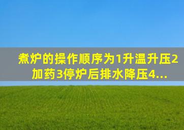 煮炉的操作顺序为()。1、升温升压;2、加药;3、停炉后,排水降压;4、...