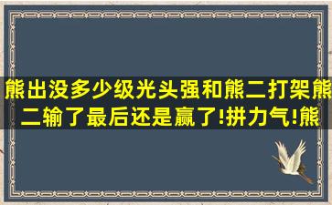 熊出没多少级光头强和熊二打架熊二输了最后还是赢了!拼力气!熊大说...