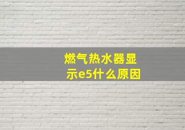 燃气热水器显示e5什么原因