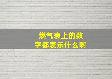 燃气表上的数字都表示什么啊