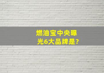 燃油宝中央曝光6大品牌是?