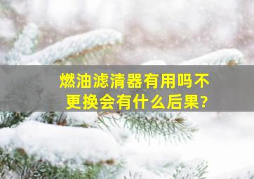 燃油滤清器有用吗,不更换会有什么后果?