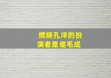 燃烧孔洋的扮演者是谁毛成 