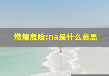 燃爆危险:na是什么意思